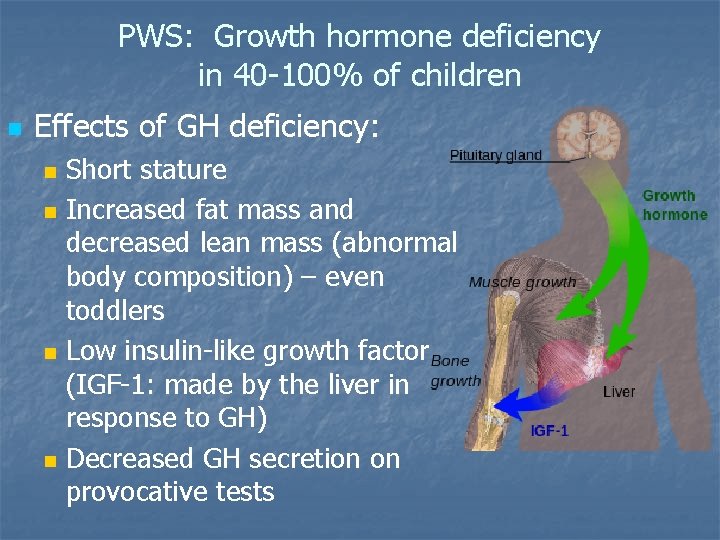 PWS: Growth hormone deficiency in 40 -100% of children n Effects of GH deficiency:
