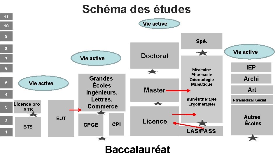 Schéma des études 11 Vie active 10 9 Spé. 8 Vie active 7 6