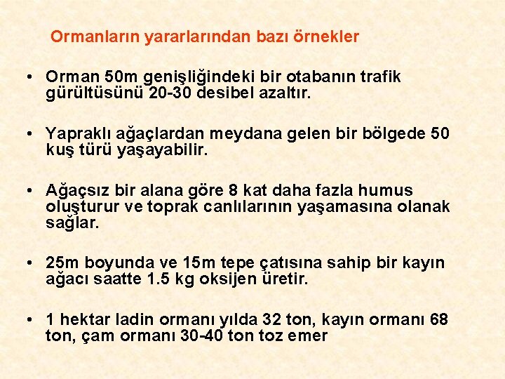 Ormanların yararlarından bazı örnekler • Orman 50 m genişliğindeki bir otabanın trafik gürültüsünü 20