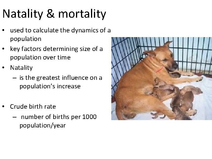 Natality & mortality • used to calculate the dynamics of a population • key