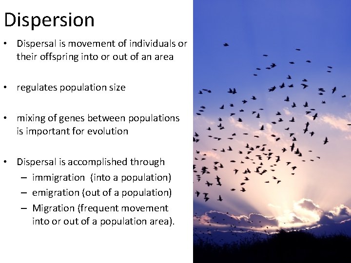 Dispersion • Dispersal is movement of individuals or their offspring into or out of