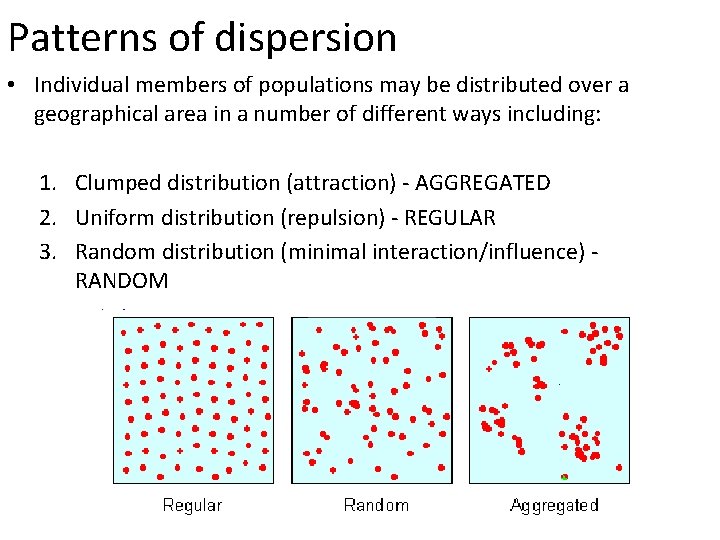 Patterns of dispersion • Individual members of populations may be distributed over a geographical
