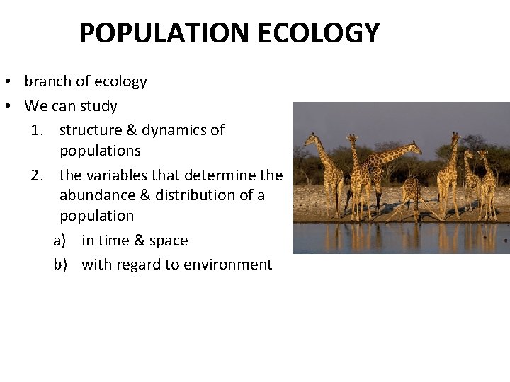 POPULATION ECOLOGY • branch of ecology • We can study 1. structure & dynamics