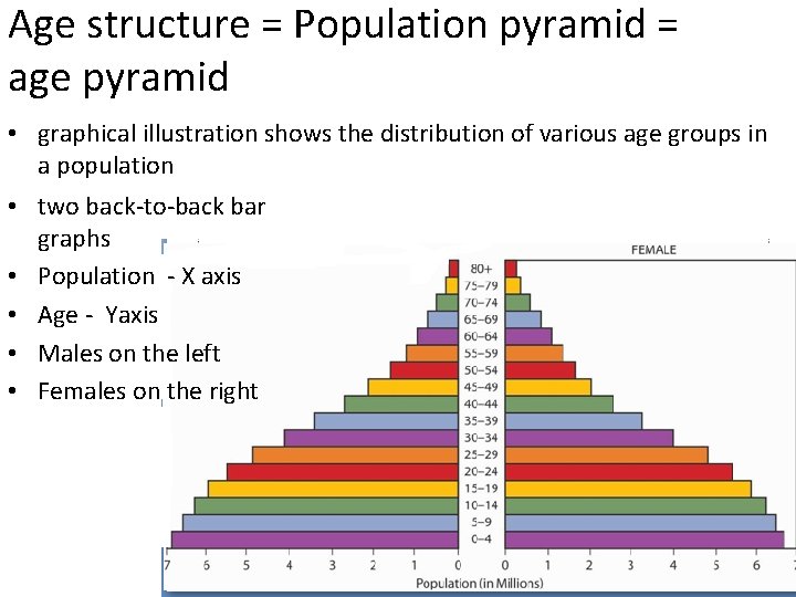 Age structure = Population pyramid = age pyramid • graphical illustration shows the distribution