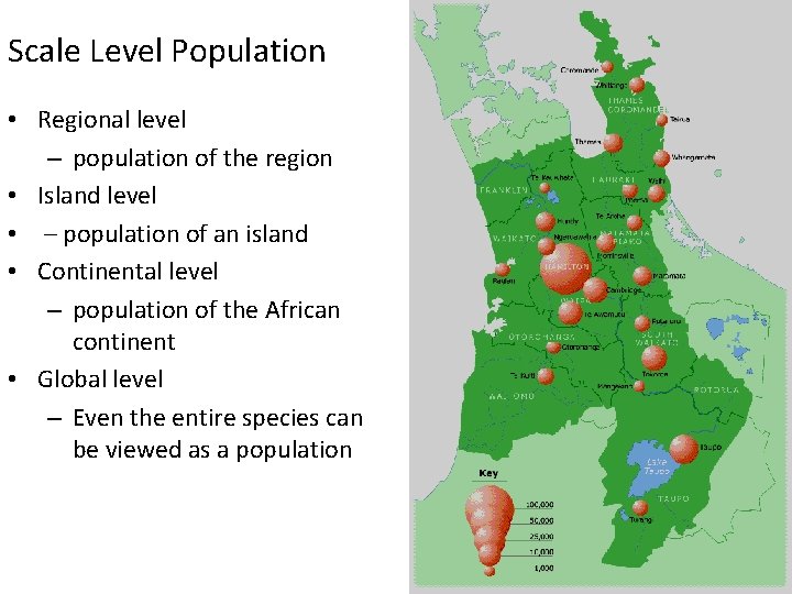 Scale Level Population • Regional level – population of the region • Island level