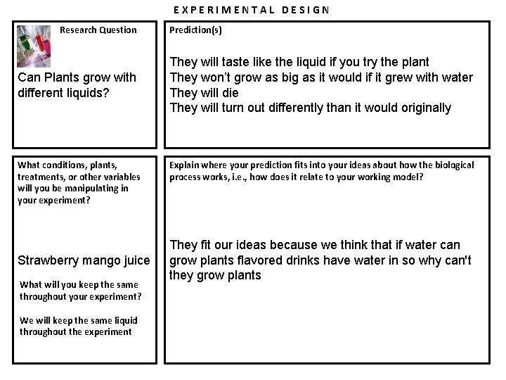 EXPERIMENTAL DESIGN Research Question Can Plants grow with different liquids? What conditions, plants, treatments,