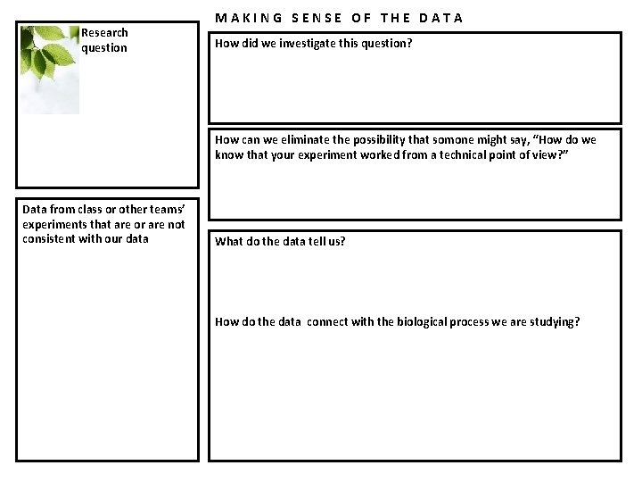 Research question MAKING SENSE OF THE DATA How did we investigate this question? How