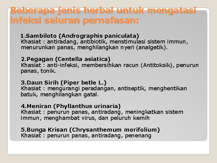 Beberapa jenis herbal untuk mengatasi infeksi saluran pernafasan: 1. Sambiloto (Andrographis paniculata) Khasiat :