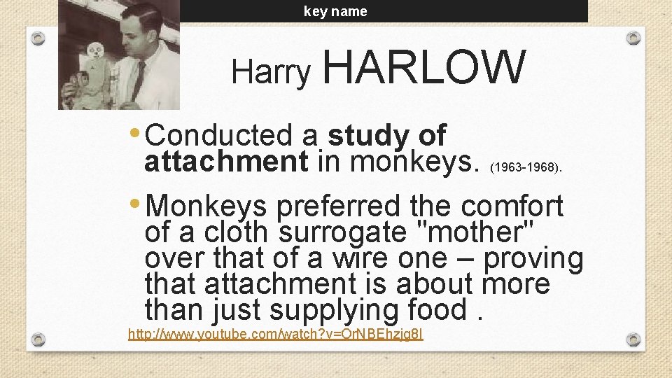 1905 -1981 key name Harry HARLOW • Conducted a study of attachment in monkeys.