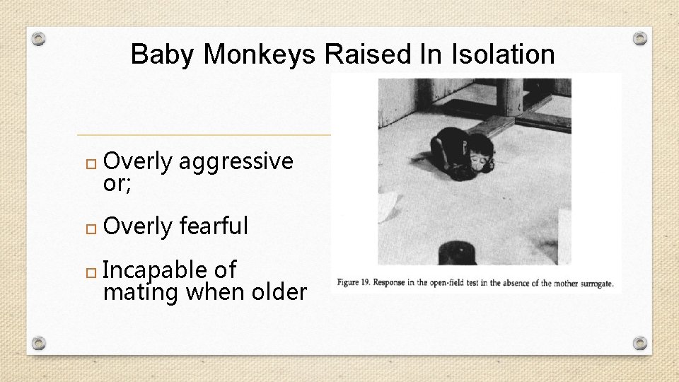 Baby Monkeys Raised In Isolation Overly aggressive or; Overly fearful Incapable of mating when