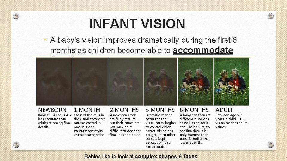 INFANT VISION • A baby’s vision improves dramatically during the first 6 months as