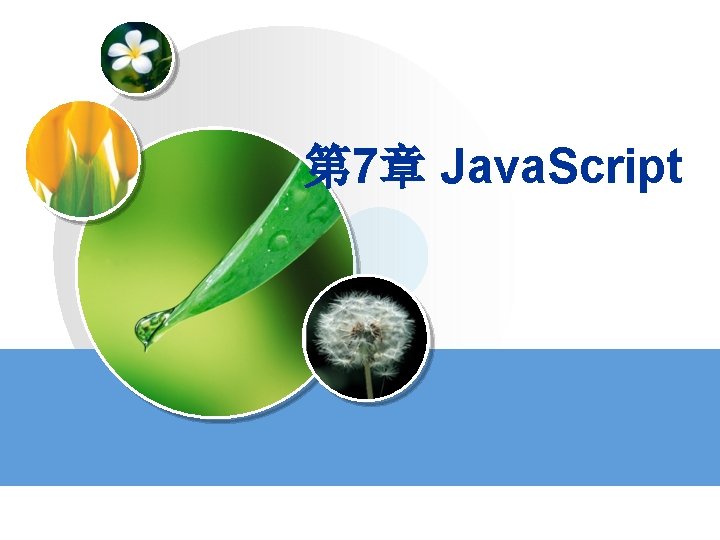 第 7章 Java. Script 
