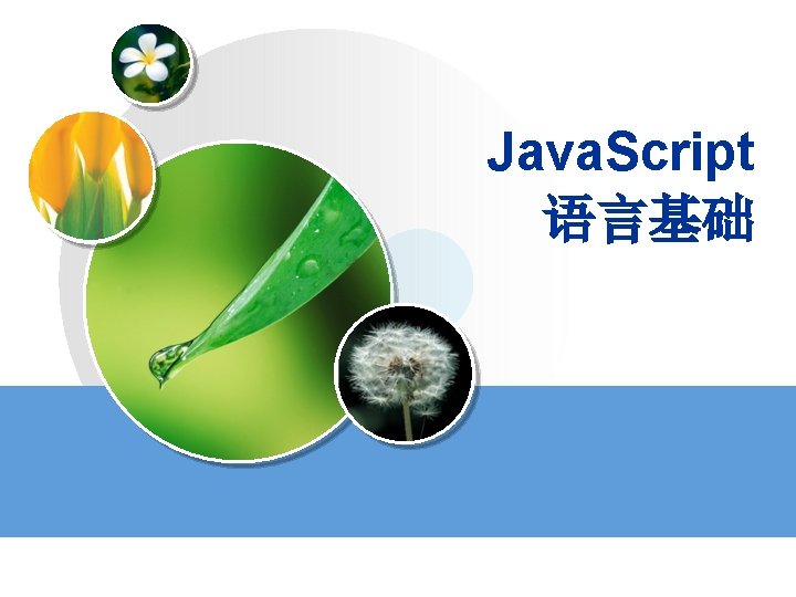 Java. Script 语言基础 