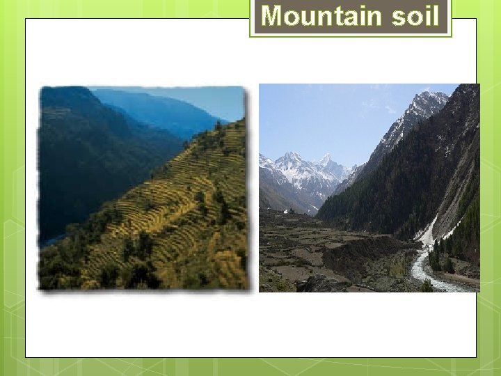 Mountain soil Mountain soil