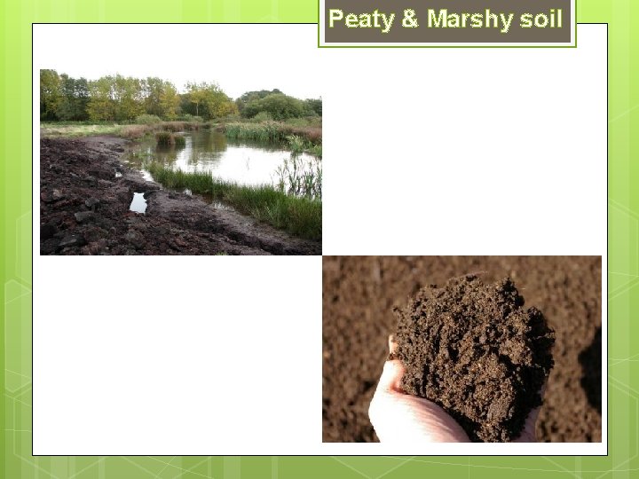 Peaty & Marshy soil Peaty & Marshy soil