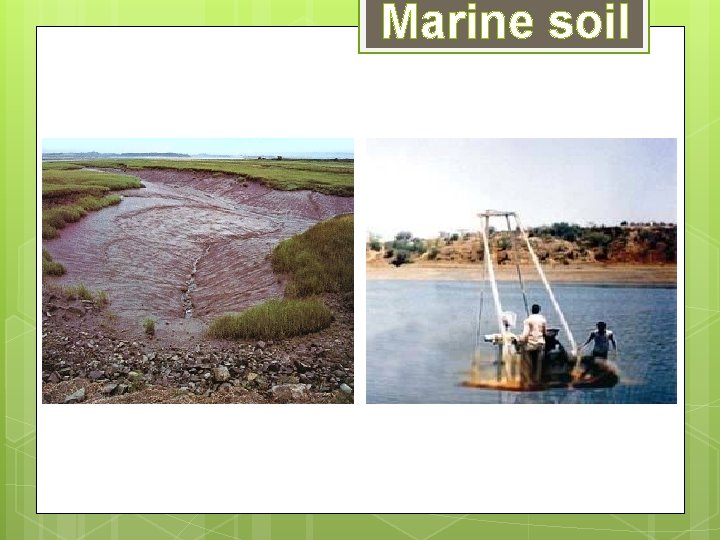 Marine soil Marine soil