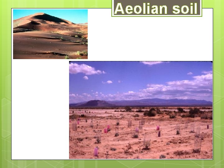 Aeolian soil Aeolian soil