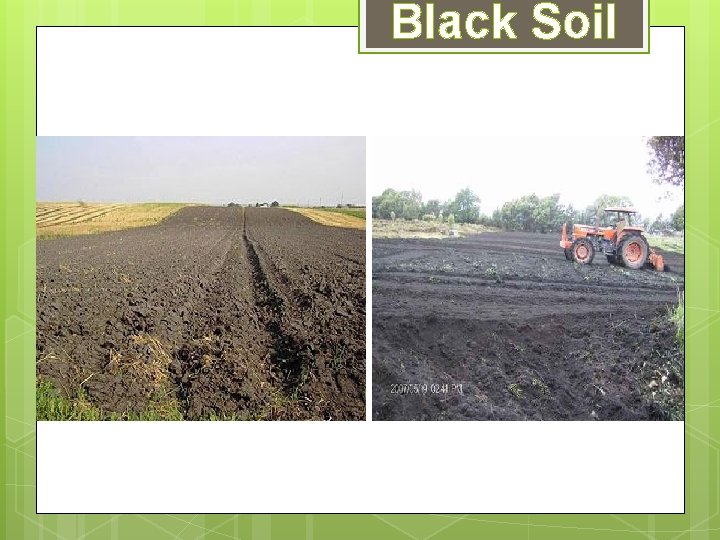 Black Soil Black Soil