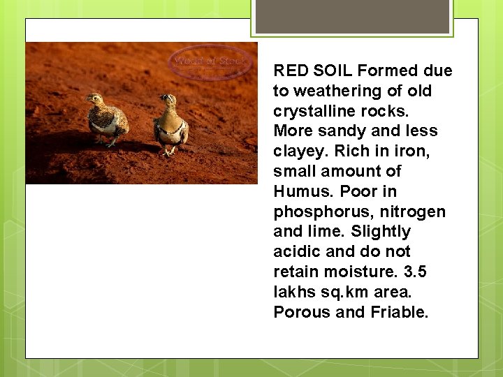 RED SOIL Formed due to weathering of old crystalline rocks. More sandy and less RED SOIL Formed due to weathering of old crystalline rocks. More sandy and less