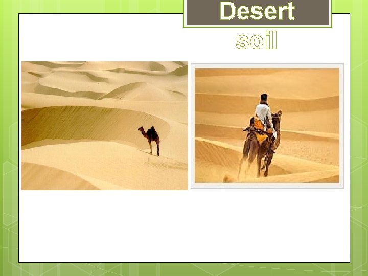 Desert soil Desert soil