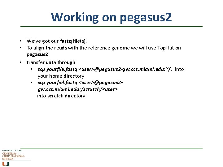 Working on pegasus 2 • We’ve got our fastq file(s). • To align the