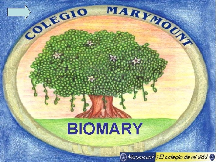 BIOMARY 