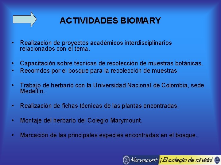 ACTIVIDADES BIOMARY • Realización de proyectos académicos interdisciplinarios relacionados con el tema. • Capacitación