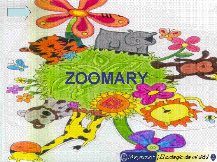 ZOOMARY 