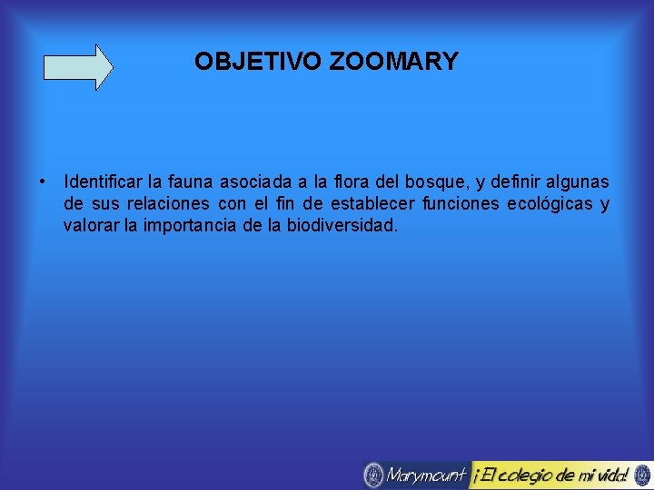 OBJETIVO ZOOMARY • Identificar la fauna asociada a la flora del bosque, y definir