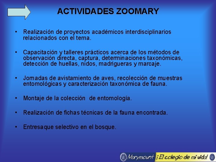 ACTIVIDADES ZOOMARY • Realización de proyectos académicos interdisciplinarios relacionados con el tema. • Capacitación