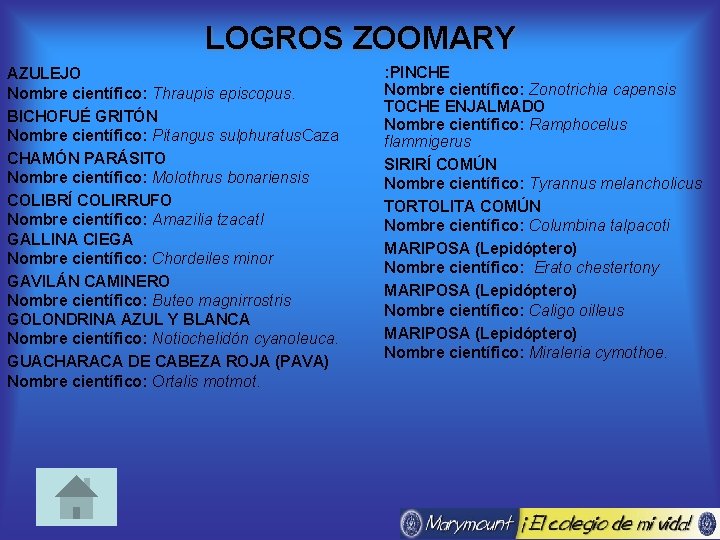 LOGROS ZOOMARY AZULEJO Nombre científico: Thraupis episcopus. BICHOFUÉ GRITÓN Nombre científico: Pitangus sulphuratus. Caza
