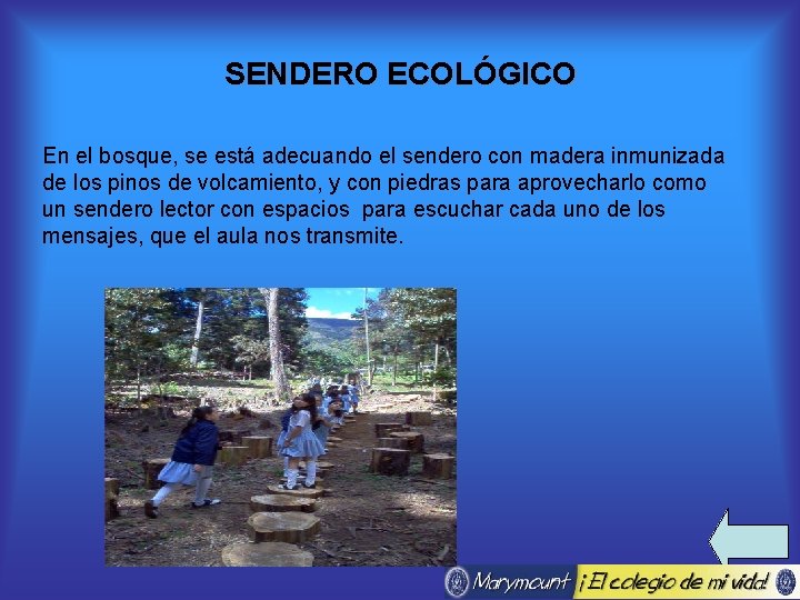 SENDERO ECOLÓGICO En el bosque, se está adecuando el sendero con madera inmunizada de