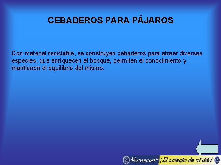 CEBADEROS PARA PÁJAROS Con material reciclable, se construyen cebaderos para atraer diversas especies, que
