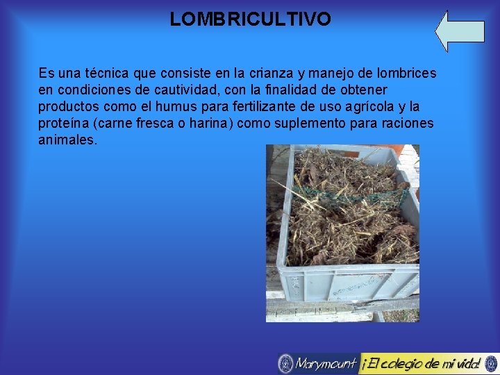 LOMBRICULTIVO Es una técnica que consiste en la crianza y manejo de lombrices en