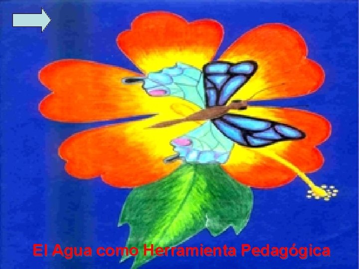 El Agua como Herramienta Pedagógica 