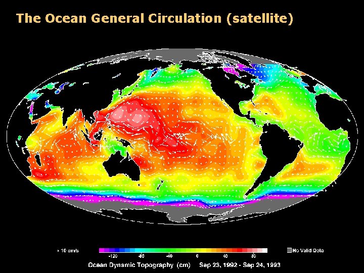 The Ocean General Circulation (satellite) 
