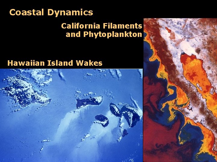 Coastal Dynamics California Filaments and Phytoplankton Hawaiian Island Wakes 