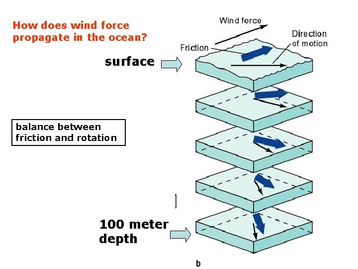 How does wind force propagate in the ocean? surface balance between friction and rotation