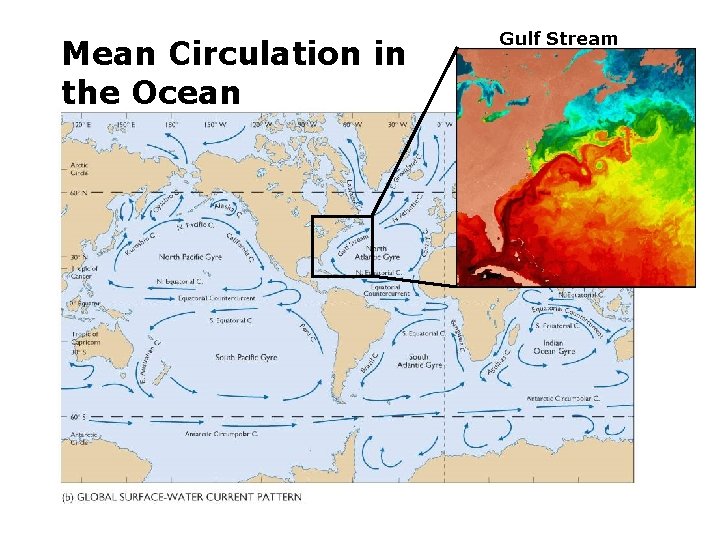 Mean Circulation in the Ocean Gulf Stream 