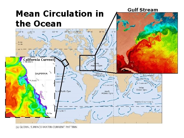 Mean Circulation in the Ocean California Current Gulf Stream 