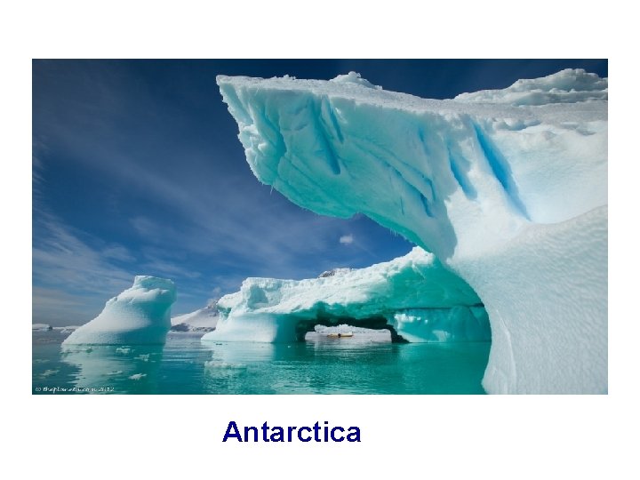 Antarctica 