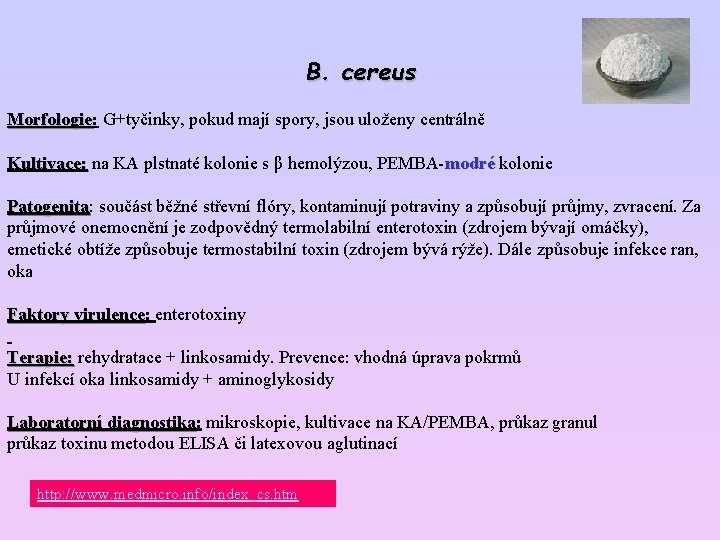 B. cereus Morfologie: Morfologie G+tyčinky, pokud mají spory, jsou uloženy centrálně Kultivace: na KA