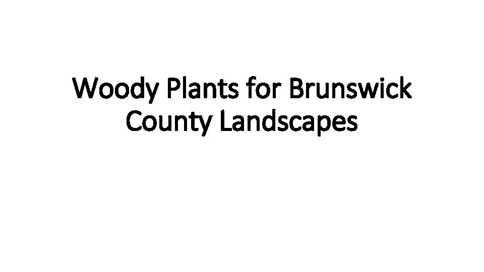 Woody Plants for Brunswick County Landscapes 
