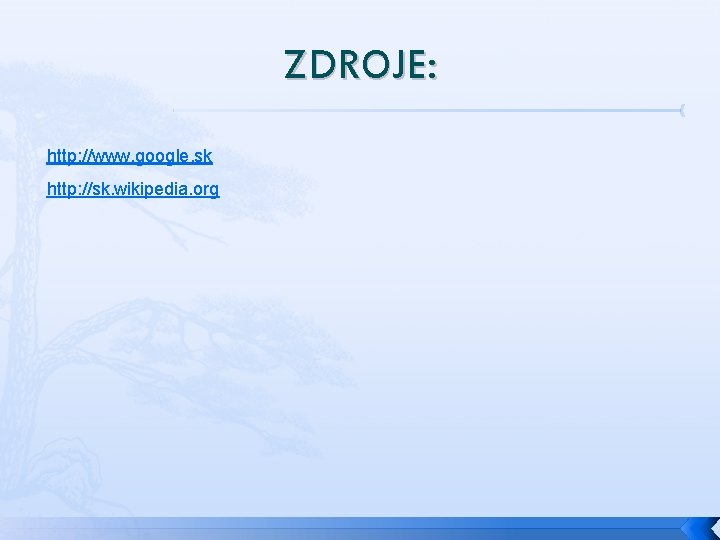 ZDROJE: http: //www. google. sk http: //sk. wikipedia. org 