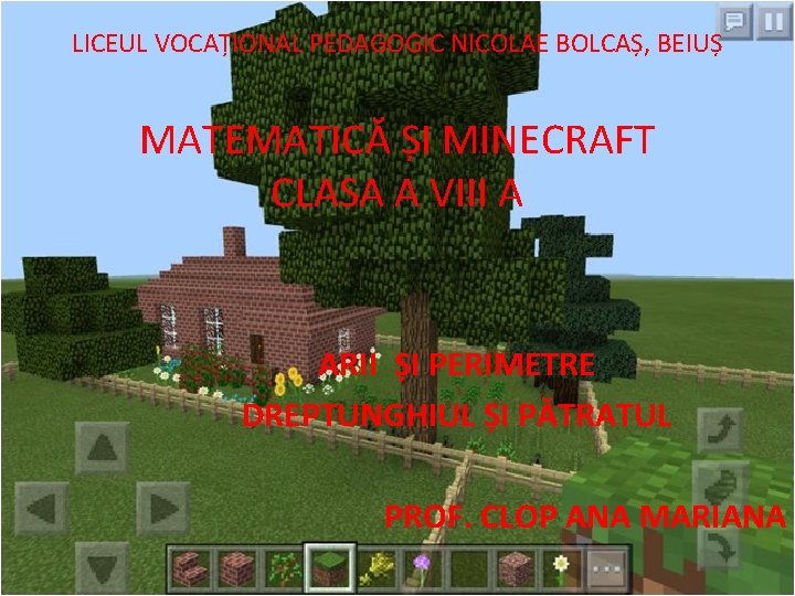 LICEUL VOCAȚIONAL PEDAGOGIC NICOLAE BOLCAȘ, BEIUȘ MATEMATICĂ ȘI MINECRAFT CLASA A VIII A ARII