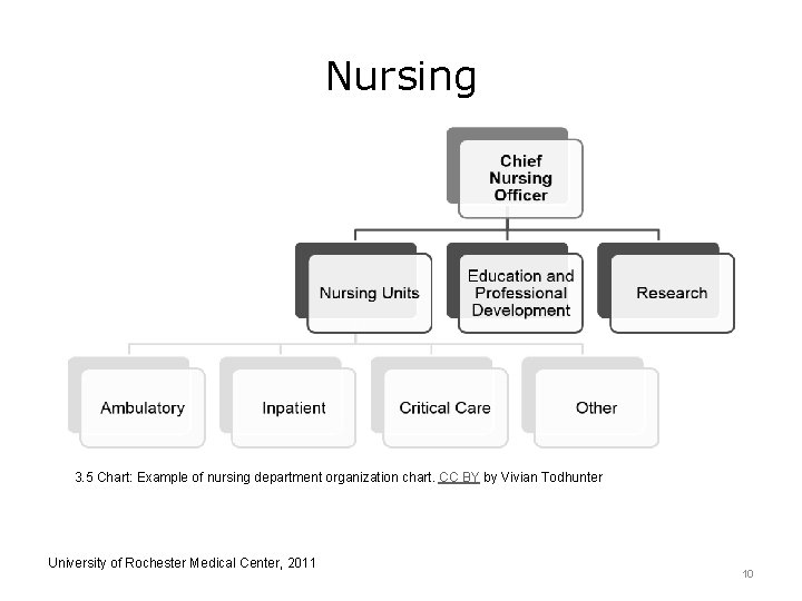 Nursing 3. 5 Chart: Example of nursing department organization chart. CC BY by Vivian