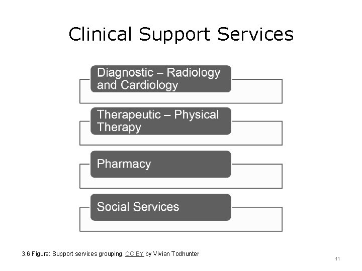 Clinical Support Services 3. 6 Figure: Support services grouping. CC BY by Vivian Todhunter