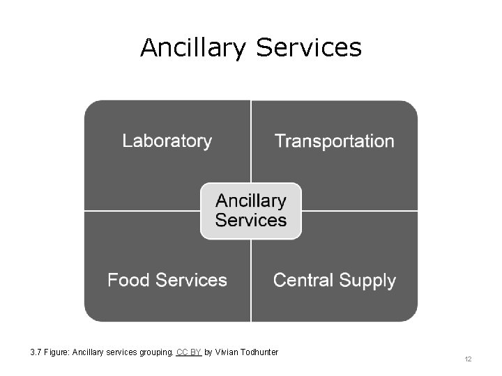 Ancillary Services 3. 7 Figure: Ancillary services grouping. CC BY by Vivian Todhunter 12