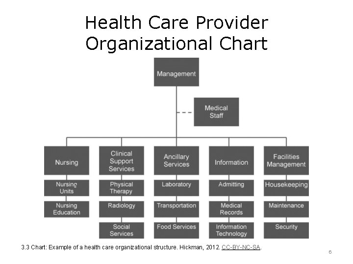 Health Care Provider Organizational Chart 3. 3 Chart: Example of a health care organizational