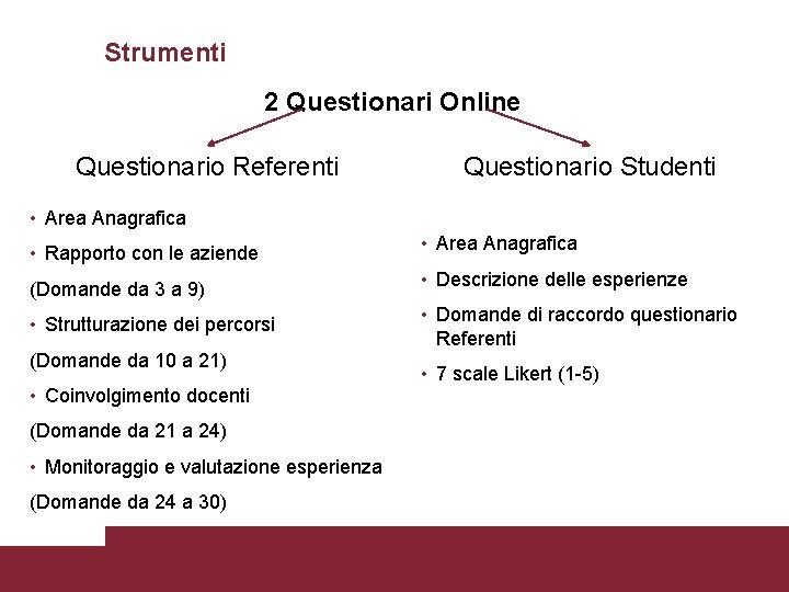 Strumenti 2 Questionari Online Questionario Referenti Questionario Studenti • Area Anagrafica • Rapporto con